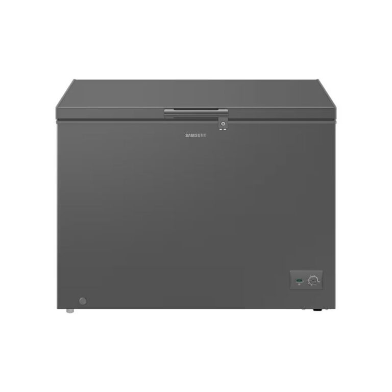 Samsung RI70F29V2GAUT 287L Freezer